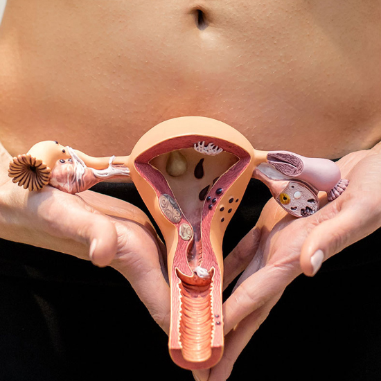 Fisioterapia de la Mujer